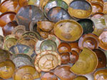 all finds