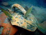 under water